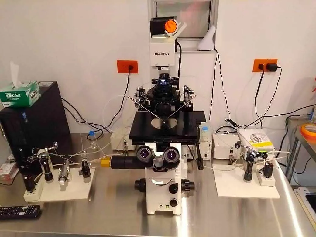 Laboratorio de reproducción asistida de Dr. Cigüeña Mexicali, Centro Asociado REDLARA